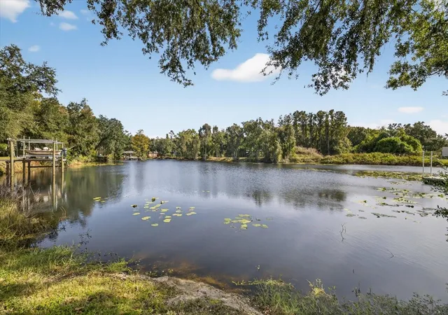 Photo 2 of Land for sale at 3926 Cvs Lake Pl, Land O Lakes, FL 34639 | MLS# TB8447561 | Listing updated on 2026-07-30