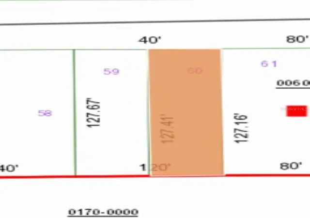 Photo 3 of Land for sale at 0 Unassigned Rd, Interlachen, FL 32148 | MLS# FC314080 | Listing updated on 2025-12-10