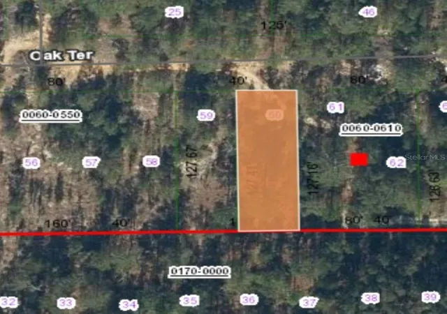 Photo 3 of Land for sale at 0 Unassigned Rd, Interlachen, FL 32148 | MLS# FC314080 | Listing updated on 2025-12-10