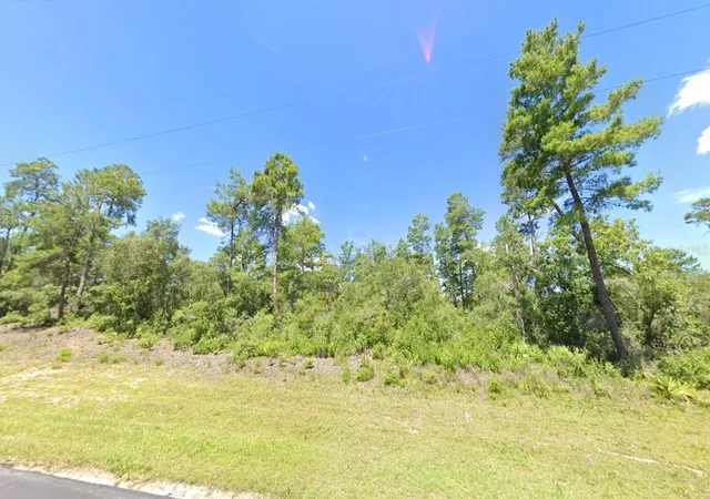 Photo 3 of Land for sale at Marion Oak, Ocala, FL 34473 | MLS# O6360609 | Listing updated on 2025-11-19