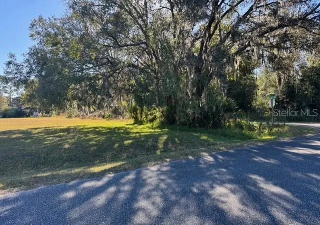 4th image of Lots Sw 229Th Ct, Dunnellon, FL 34431 | MLS# OM713555