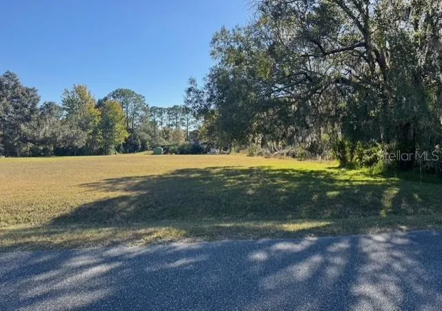 5th image of Lots Sw 229Th Ct, Dunnellon, FL 34431 | MLS# OM713555
