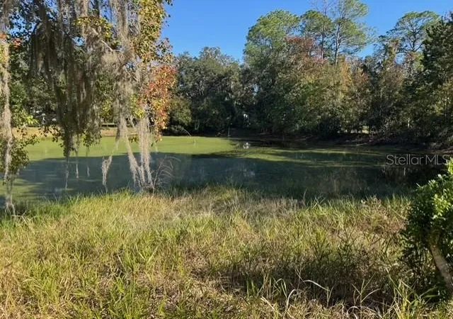 2nd image of Lots Sw 229th Ct, Dunnellon, FL 34431 | MLS# OM713555