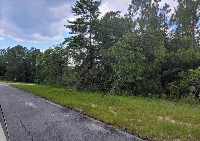 Photo 2 of Land for sale at Sw 135 Street, Ocala, FL 34473 | MLS# A4672151 | Listing updated on 2026-01-22
