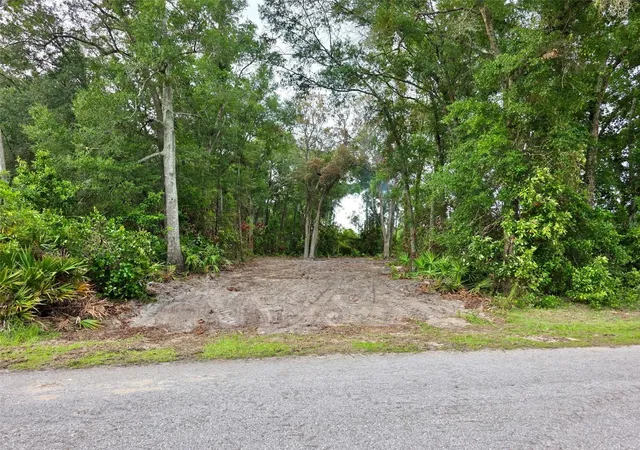 Photo 2 of Land for sale at Lot Nw 112 70th Avenue, Trenton, FL 32693 | MLS# GC535480 | Listing updated on 2026-07-30