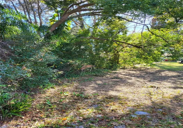 13th image of 2131 Coachman Rd Ne, Clearwater, FL 33765 | MLS# O6361076