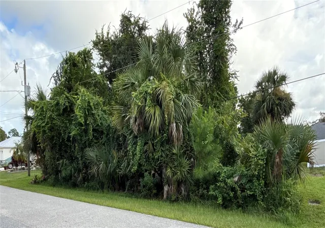 5th image of 38 Pineapple Dr, Palm Coast, FL 32164 | MLS# L4957339