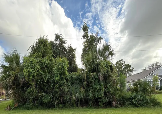 6th image of 38 Pineapple Dr, Palm Coast, FL 32164 | MLS# L4957339