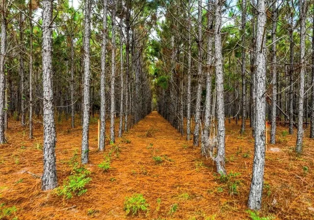 4th image of 000 Nw 78Th Ave, Newberry, FL 32669 | MLS# GC535526