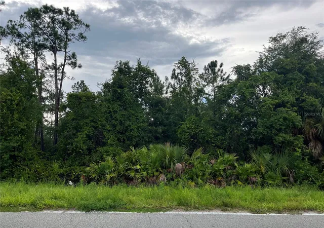 Photo 3 of Land for sale at 6883 St Johns Ave, Palatka, FL 32177 | MLS# OK225741 | Listing updated on 2026-09-29