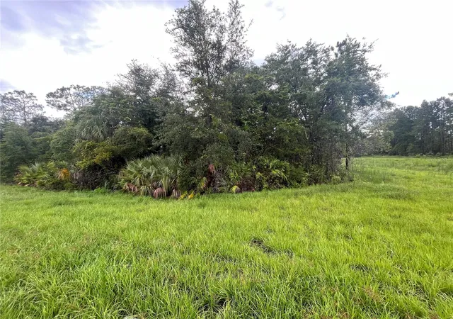 Photo 4 of Land for sale at 6883 St Johns Ave, Palatka, FL 32177 | MLS# OK225741 | Listing updated on 2026-09-29
