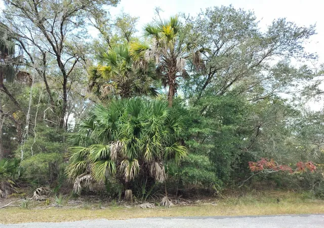 Photo 1 of Land for sale at 9999 N Snowball Point, Crystal River, FL 34428 | MLS# TB8449533 | Listing updated on 2026-07-22