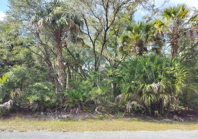 Photo 2 of Land for sale at 9999 N Snowball Point, Crystal River, FL 34428 | MLS# TB8449533 | Listing updated on 2026-07-22