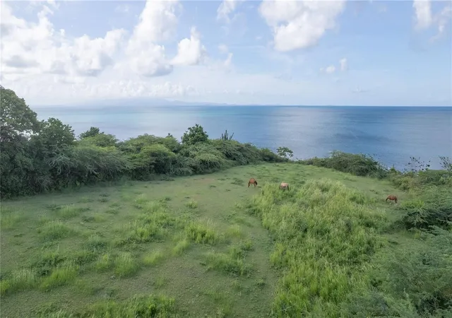 Photo 2 of Land for sale at 2 Calle Cañon, Vieques, PR 00765 | MLS# PR9117474 | Listing updated on 2025-11-20
