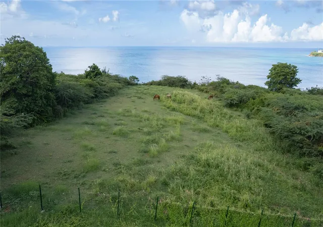 Photo 2 of Land for sale at 2 Calle Cañon, Vieques, PR 00765 | MLS# PR9117474 | Listing updated on 2025-11-20