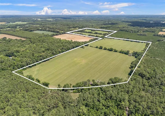 Photo 2 of Land for sale at 227th Drive, High Springs, FL 32643 | MLS# GC535554 | Listing updated on 2026-06-29