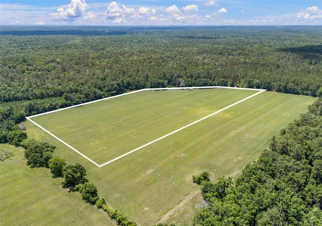 Photo 4 of Land for sale at 227th Drive, High Springs, FL 32643 | MLS# GC535554 | Listing updated on 2026-06-29