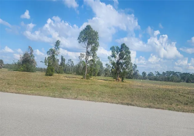 Homes for sale in Placida, FL | 13014 Emerald Rd, Placida, FL 33946 | MLS# D6144840