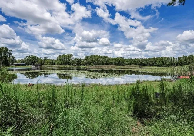 Photo 3 of Land for sale at 4635 Cobb Rd, Land O Lakes, FL 34638 | MLS# W7880899 | Listing updated on 2025-11-20