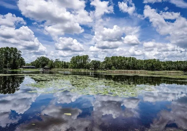Photo 3 of Land for sale at 4635 Cobb Rd, Land O Lakes, FL 34638 | MLS# W7880899 | Listing updated on 2025-11-20