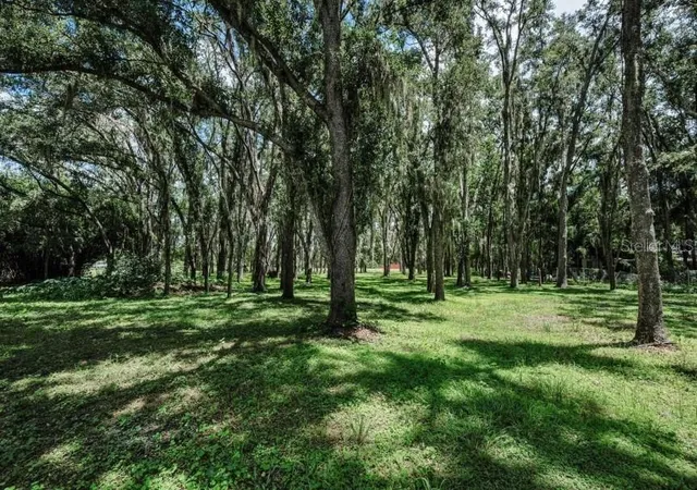 Photo 4 of Land for sale at 4635 Cobb Rd, Land O Lakes, FL 34638 | MLS# W7880899 | Listing updated on 2025-11-20