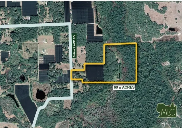 2nd image of Shaw Lake Rd, Pierson, FL 32180 | MLS# V4946005