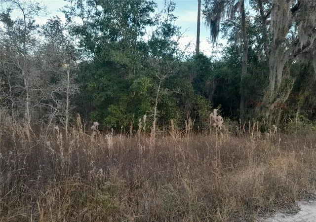 Photo 2 of Land for sale at 1531 Ne 123rd Avenue, Williston, FL 32696 | MLS# OM713879 | Listing updated on 2026-05-16