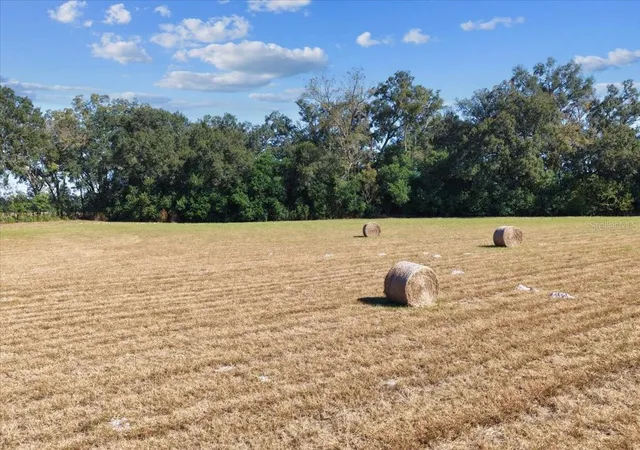 Land for sale at Tbd NE 150 Street, TRENTON, FL 32693 | MLS# OM713886