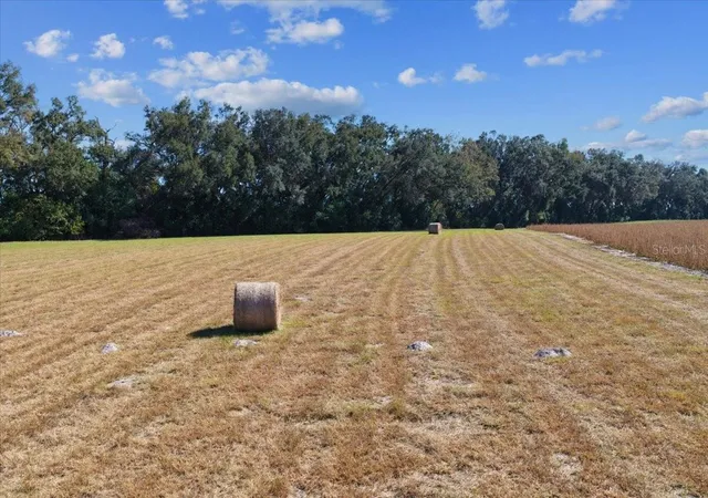 Photo 3 of Land for sale at Tbd Ne 150 Street, Trenton, FL 32693 | MLS# OM713886 | Listing updated on 2026-09-06