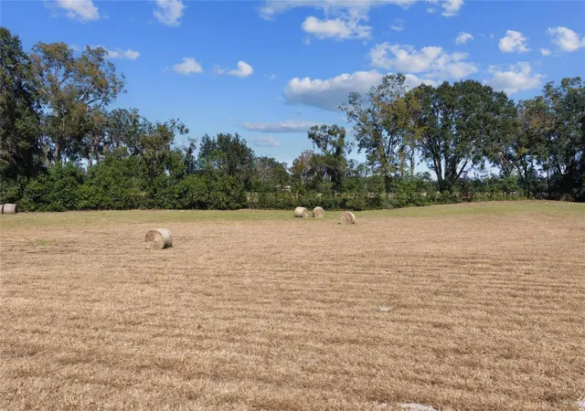 Photo 3 of Land for sale at Tbd NE 150 Street, Trenton, FL 32693 | MLS# OM713886 | Listing updated on 2026-09-06