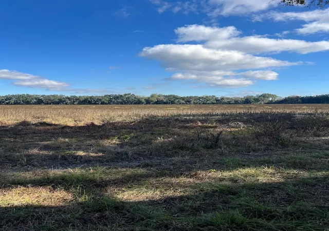 Photo 3 of Land for sale at Tbd N Bronson Ave, Trenton, FL 32693 | MLS# OM713887 | Listing updated on 2026-09-06