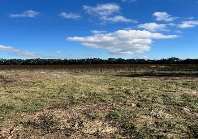 Photo 4 of Land for sale at Tbd N Bronson Ave, Trenton, FL 32693 | MLS# OM713887 | Listing updated on 2026-09-06