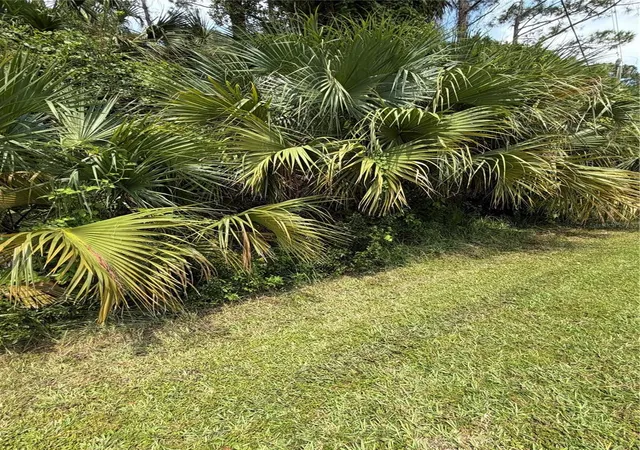 Photo 3 of Land for sale at 30 Pony Express Dr, Palm Coast, FL 32164 | MLS# FC314235 | Listing updated on 2026-09-02