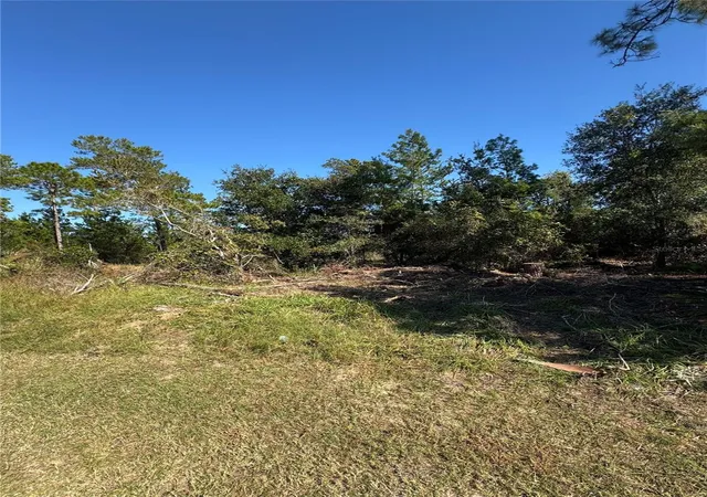 1st image of 19 Freeport Ln, Palm Coast, FL 32137 | MLS# FC314236