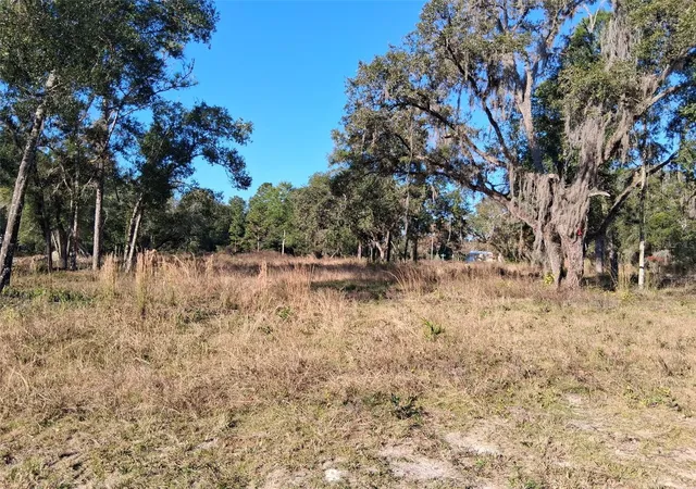 Photo 1 of Land for sale at 0 Long Cir, Webster, FL 33597 | MLS# W7880916 | Listing updated on 2025-11-21