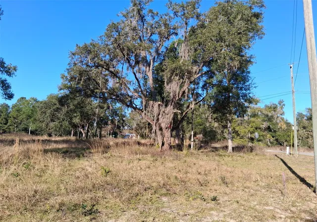 Photo 2 of Land for sale at 0 Long Cir, Webster, FL 33597 | MLS# W7880916 | Listing updated on 2025-11-21