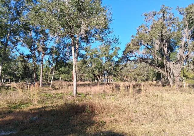 Photo 3 of Land for sale at 0 Long Cir, Webster, FL 33597 | MLS# W7880916 | Listing updated on 2025-11-21