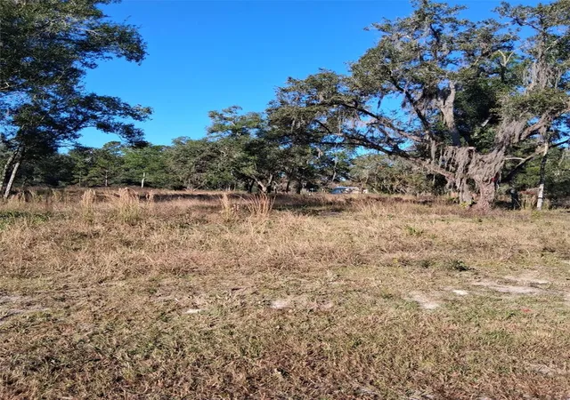 Photo 3 of Land for sale at 0 Long Cir, Webster, FL 33597 | MLS# W7880916 | Listing updated on 2025-11-21
