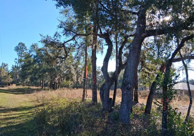 Photo 4 of Land for sale at 0 Long Cir, Webster, FL 33597 | MLS# W7880916 | Listing updated on 2025-11-21