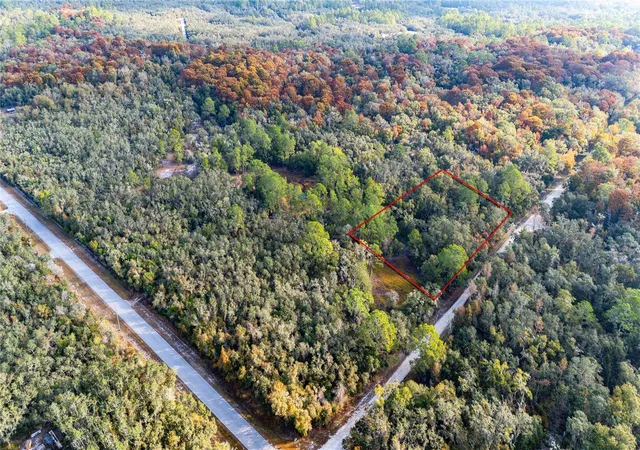 Photo 3 of Land for sale at 0 Rose Bloom Lot 5 Ave, Webster, FL 33597 | MLS# TB8450293 | Listing updated on 2026-08-04