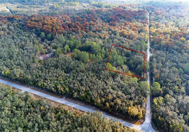 Photo 3 of Land for sale at 0 Rose Bloom Lot 5 Ave, Webster, FL 33597 | MLS# TB8450293 | Listing updated on 2026-08-04