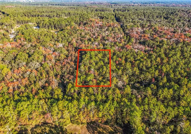 Photo 1 of Land for sale at Sw 6th Terrace, Palatka, FL 32177 | MLS# O6362434 | Listing updated on 2026-09-24
