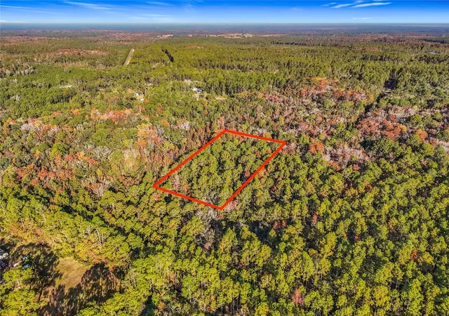 Photo 2 of Land for sale at Sw 6th Terrace, Palatka, FL 32177 | MLS# O6362434 | Listing updated on 2026-09-24