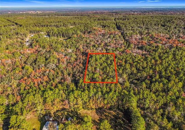 Photo 3 of Land for sale at Sw 6th Terrace, Palatka, FL 32177 | MLS# O6362434 | Listing updated on 2026-09-24