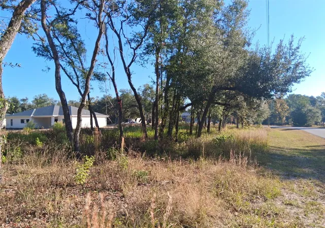 Photo 1 of Sale Pending at 0 August Ave, Webster, FL 33597 | MLS# W7880932 | Listing updated on 2026-08-20