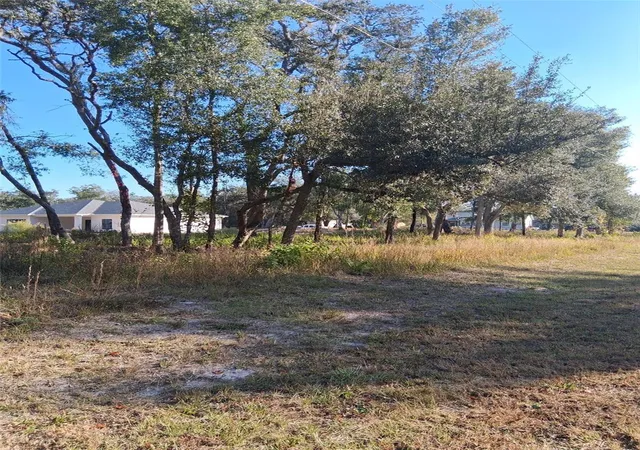 Photo 2 of Sale Pending at 0 August Ave, Webster, FL 33597 | MLS# W7880932 | Listing updated on 2026-08-20