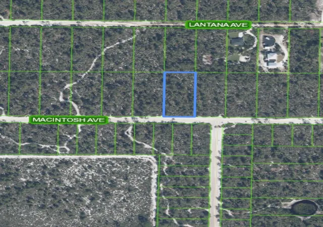 Photo 3 of Land for sale at 2132 Macintosh Ave, Sebring, FL 33875 | MLS# O6362538 | Listing updated on 2026-07-29