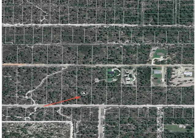 Photo 4 of Land for sale at 2132 Macintosh Ave, Sebring, FL 33875 | MLS# O6362538 | Listing updated on 2026-07-29