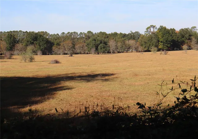 Photo 2 of Land for sale at 8340 Sw 35th Avenue, Ocala, FL 34476 | MLS# OM714003 | Listing updated on 2025-11-26