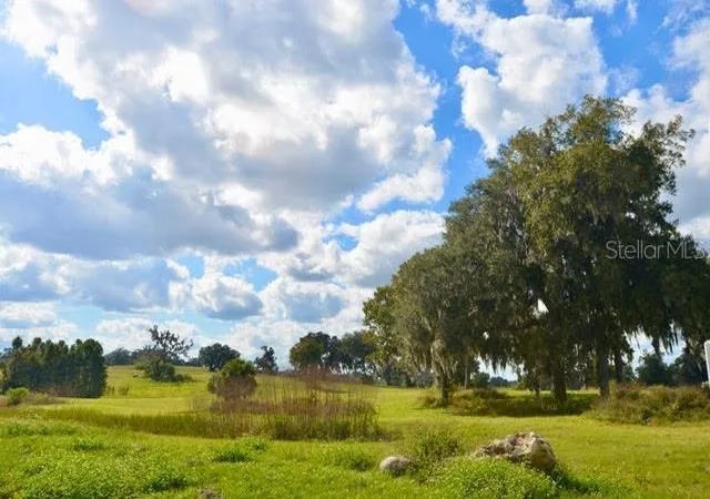 Photo 1 of Land for sale at 11750 Se 22nd Avenue Rd, Ocala, FL 34473 | MLS# OM714004 | Listing updated on 2026-08-13